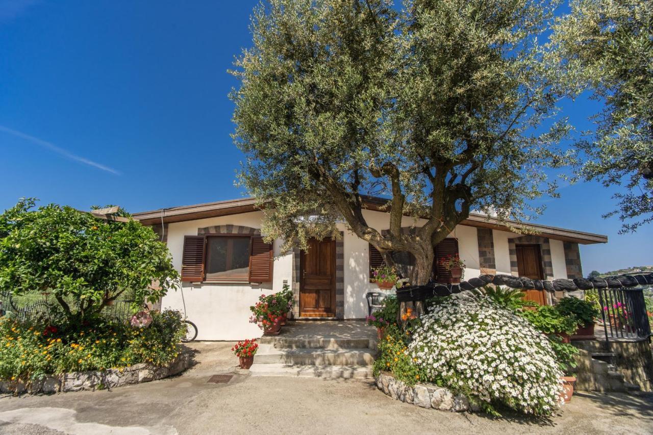 Villa Mattia In The Land Of Sirens SantʼAgata sui Due Golfi Εξωτερικό φωτογραφία